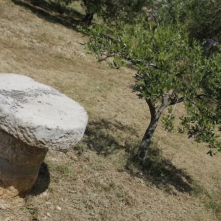 Dom wakacyjny Kuca Za Odmor Jelena *