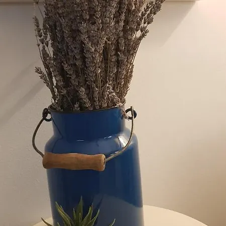 Kuca Za Odmor Jelena * Starigrad Paklenica