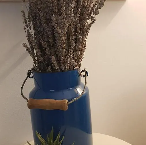 Kuca Za Odmor Jelena * Starigrad Paklenica